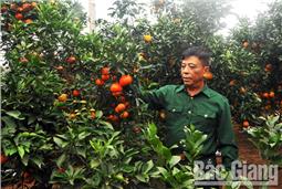 Cựu chiến binh làm kinh tế giỏi, giàu lòng nhân ái